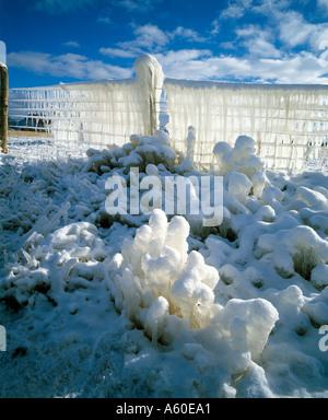 La glace sur les barbelés, Utah, USA Banque D'Images