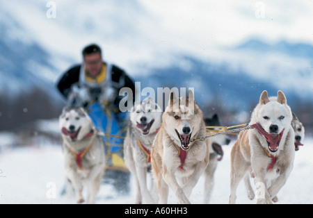 Personne d'être tiré par des chiens de traîneau sur Banque D'Images