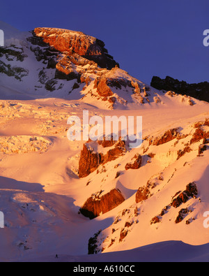 Lumière du soir sur le Mont Rainier Banque D'Images