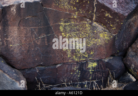 Rock art ancien 'pétroglyphes rupestres' Banque D'Images