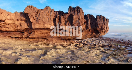 Rive rocheuse de l'île d'Hutchinson Martin County Stuart Florida Banque D'Images