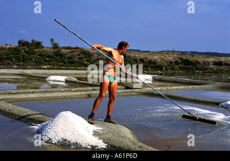 Un agriculteur ou paludier récolte manuelle de sel de mer gris en utilisant des outils traditionnels dans la région de Guérande à côté de l'océan Atlantique, Franc Bretagne Banque D'Images