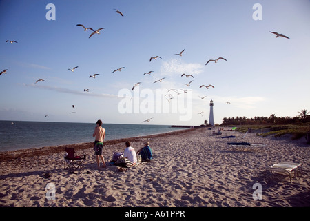 USA Floride Miami Beach avec hôtels et soleil mouette par phare à Miami Beach Floride USA Banque D'Images