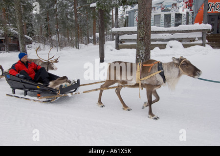 Tourisme dans un traîneau tiré par un renne Santa Claus Village, Rovaniemi, Laponie, Finlande, Europe du Nord, de l'Arctique Banque D'Images