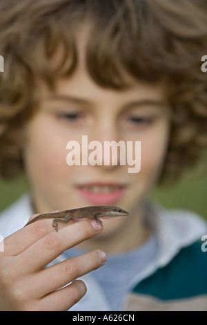 Enfant tenant anole vert Anolis carolinensis 9 ans Louisiane U S Un modèle publié Banque D'Images