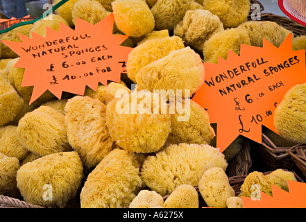 Les éponges naturelles en vente à un petit marché de producteurs de pays de Galles UK Banque D'Images
