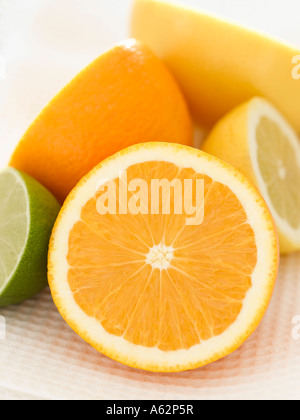 Agrumes : citron lime orange et pamplemousse Banque D'Images