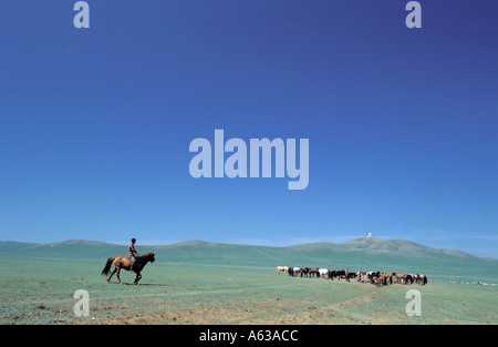 Un berger dans la steppe de Mongolie veille sur ses animaux Banque D'Images