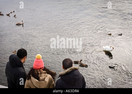 Nourrir les oiseaux en hiver Banque D'Images