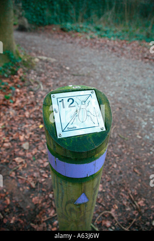 Route bleue sign post number 12 avec plaque de scarabée Banque D'Images