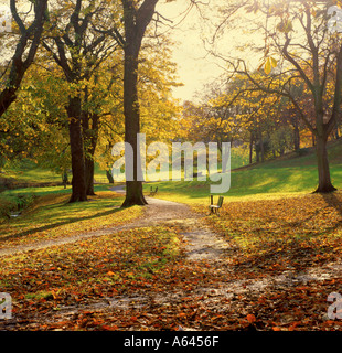 Scène du parc par un beau jour d'automne ; Backhouse Park, Sunderland, Wearside, Tyne et Wear, Angleterre, Royaume-Uni. Banque D'Images