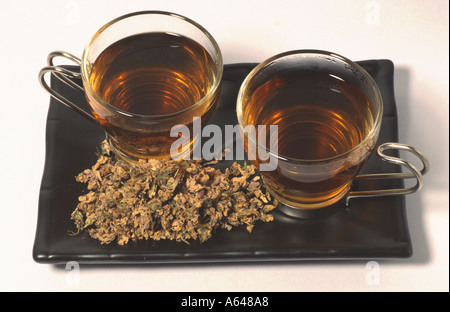 Veilchentee Viola odorata violette odorante Plateau Banque D'Images