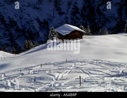 Les voies de skieurs dans powdersnow près du village de murren région de Highland bernoises alpes Suisse canton de Berne Suisse Banque D'Images