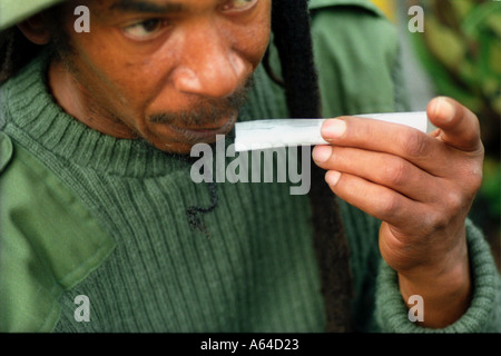 Homme de rouler un joint Banque D'Images