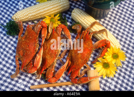 Crabes bleus de la baie de Chesapeake à la vapeur Banque D'Images