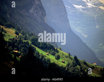 Les pâturages de montagne près du village de Wengen région d'Oberland highland swiss alpes canton de Berne Suisse Banque D'Images