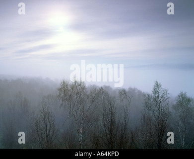 Brouillard dans la vallée de la Derwent, à partir de troncs Hill dans le Derbyshire Peak District Banque D'Images