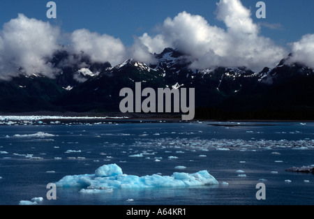 Des blocs de glace dans la baie du Prince William en Alaska USA Banque D'Images