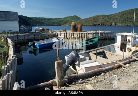 Petit port de pêche près de Norris Point, Terre-Neuve Banque D'Images