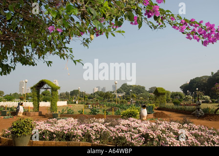 Shri Phirozshah Mehta jardin suspendu sur Malabar hill Mumbai Inde Banque D'Images