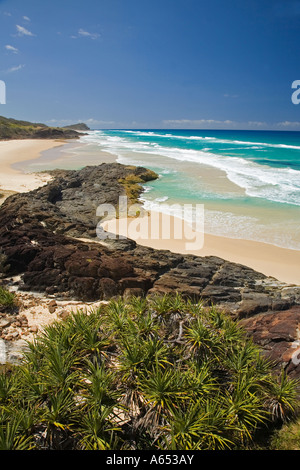 Palmiers Pandanus sur la large plage de sable au milieu des rochers sur l'île Fraser Banque D'Images