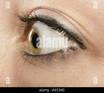 Profile close-up of a woman's eye. Banque D'Images