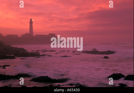 La Californie San Mateo County coast Pigeon Point Lighthouse at dawn Banque D'Images