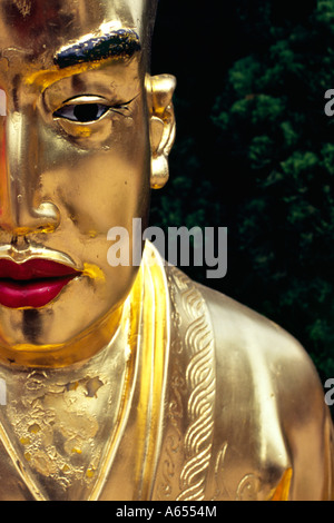 Visage d'une statue de Bouddha en or l'une des nombreuses au dix mille bouddhas monastère près de Sha Tin dans les Nouveaux Territoires Banque D'Images