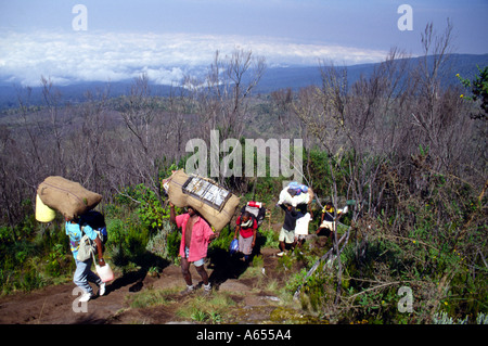 Ordre croissant de porteurs du Kilimanjaro Tanzanie Afrique de l'Est Banque D'Images