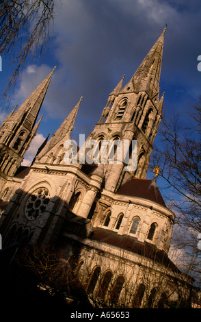 St Finn Barres Cathedral Cork Irlande Banque D'Images