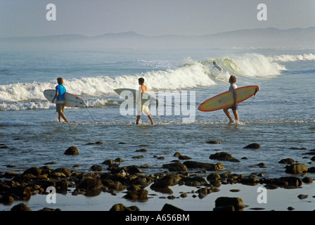 Surfers tête dans le surf à Mancora sur la côte nord du Pérou Banque D'Images