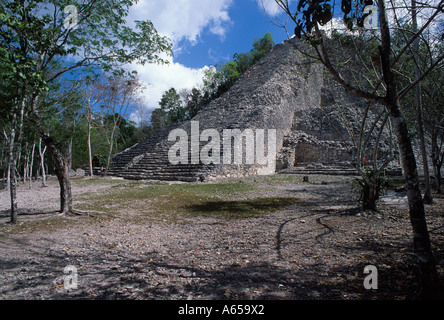 Nohoc Mul, pyramide Maya le plus haut dans le Yucatan, Coba, Mexique Banque D'Images