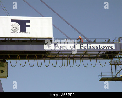 Felixstowe logo signe de fermeture de l'installation de grue de chargement de conteneur et ouvrier d'entretien Sunny Blue Sky Day dans Suffolk East Anglia England Banque D'Images