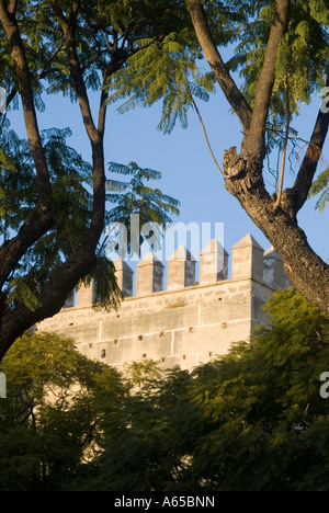 Alcazar, Jerez de la Frontera, Andalousie, Espagne Banque D'Images