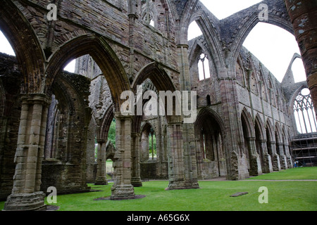 Abbaye de Tintern Galles du Sud Banque D'Images