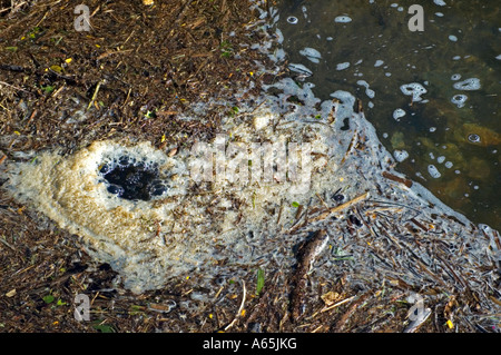 Un ruisseau pollué près de redruth en Cornouailles, Angleterre Banque D'Images