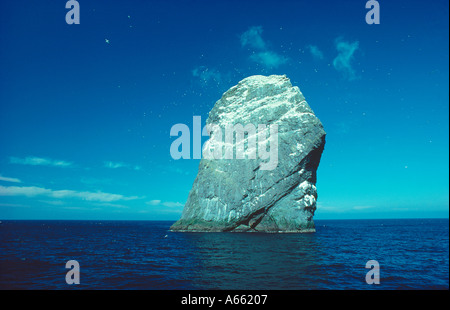 La pile du Stac Lee rock St Kilda Hébrides extérieures en Écosse de l'ouest Banque D'Images