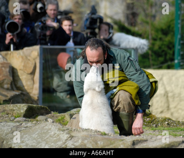 Knut l'ours polaire au zoo de Berlin Banque D'Images