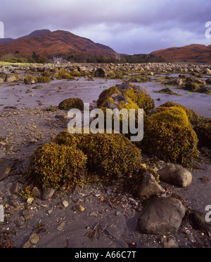 Loch Buie et Château Moy, île de Mull. L'Ecosse Banque D'Images