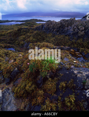 Jura vue à travers le son d'Islay de Bunahabhain, Islay, Argyll Banque D'Images