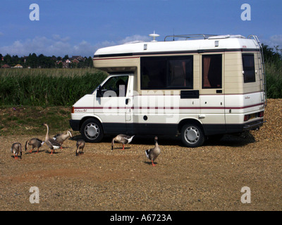 Camper van Touring Norfolk Broads garé parmi les oies locales à côté de la rivière Yare en attente pour Reedham chaîne de véhicules ferry East Anglia Angleterre Royaume-Uni Banque D'Images