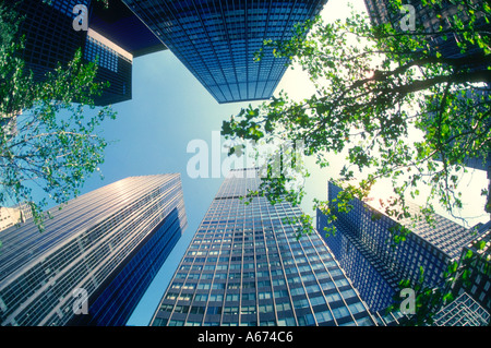 Fish eye view New York bâtiments moderne en verre Banque D'Images
