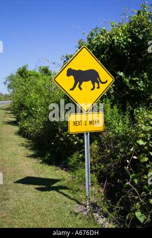 Une panthère crossing sign dans le parc national des Everglades en Floride du sud Banque D'Images