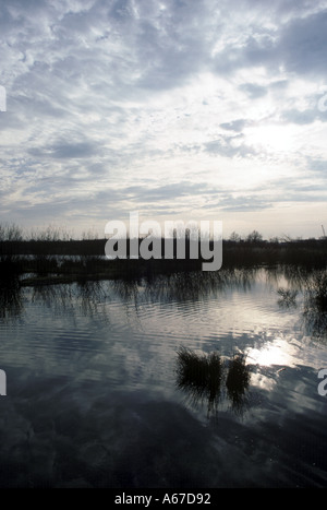 Les nuages et les reflets dans les lacs de Dinton Pâturages Banque D'Images