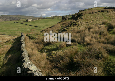 Les maures sauvages de la Northumberland Mur d'Hadrien, Pays, Parc National de Northumberland Banque D'Images