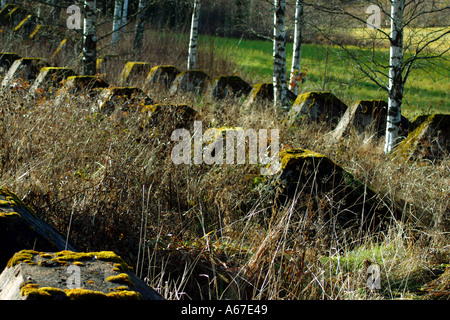 Piliers en béton dans une rangée recouverts de mousse Banque D'Images