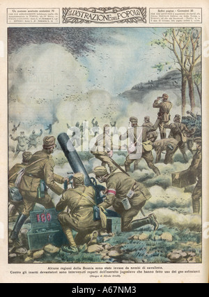 Les criquets en Bosnie Banque D'Images