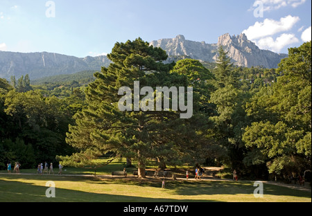 Parc aux arbres au Palais, Voroncov Jalta, Crimea, Ukraine, South-Easteurope, Europe, Banque D'Images