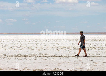 L'homme sur le lac salé Eyre, Australie du Sud, Australie Banque D'Images