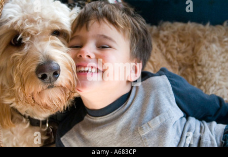 L'artilleur la famille Goldendoodle chien bénéficiant d'un moment avec son maître l'âge de 4 ans. St Paul Minnesota USA Banque D'Images